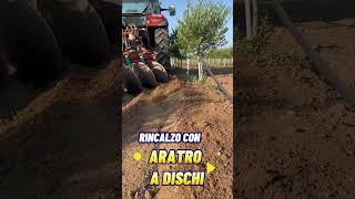 RINCALZO OLIVETO SUPERINTENSIVO shortvideo farming olive [upl. by Adraynek]