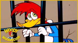 Woody Woodpecker Show  1 Hour Compilation  Cartoons For Children [upl. by Gitel557]