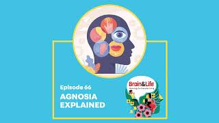 What is Agnosia and How Does it Affect the Brain’s Perception Brain amp Life Podcast [upl. by Ellehcyt76]