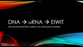 DNA mRNA eiwit transcriptie en translatie [upl. by Ploch]