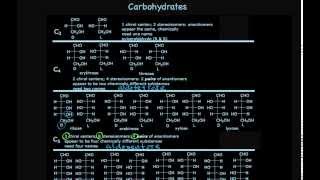 Carbohydrate Structures [upl. by Anattar150]