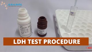 Lactate Dehydrogenase Test  LDH Test Procedure [upl. by Amiaj]