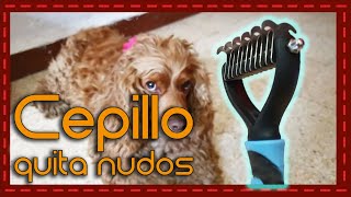 ¡Adiós a los nudos Reseña del mejor cepillo quita nudos para perros [upl. by Candless]