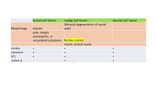 Comparisons of Sertoli Leydig and steroid cell tumor [upl. by Nednil]