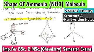 Shape Of Ammonia NH3 Molecule By VSEPR Theory  Covalent Bond  bscnotes [upl. by Bibeau750]