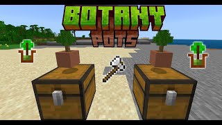 Hogs Botany MCPE Bedrock Edition Free Addon [upl. by Goldina322]