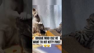 DOGGIE MAD CUZ HE WANT TO HIT IT FIRST🤣🤣voiceover fyp funnymoments skits shorts funnycats [upl. by Aicatsanna618]