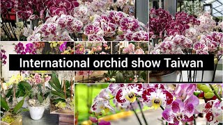 International orchid show Taiwan  meadows garden [upl. by Giark]