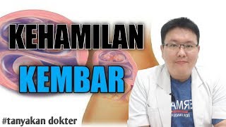 HAMIL KEMBAR  TANYAKAN DOKTER [upl. by Areic385]