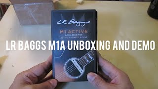 LR Baggs M1A Unboxing and Demo [upl. by Ihdin231]