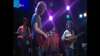 Dominic Miller and Pat Metheny  Shape of My Heart  YouTube [upl. by Melvyn570]