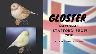 GLOSTER NATIONAL STAFFORD SHOW 2018 [upl. by Storm702]