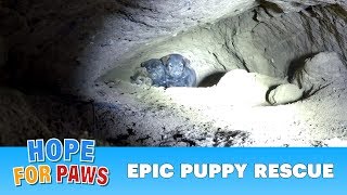 Epic puppy rescue  18 feet into the earth Dangerous Hope For Paws rescue puppy [upl. by Treat249]