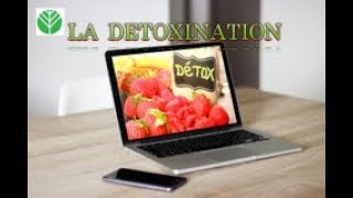 LA DETOXINATION [upl. by Anniala]