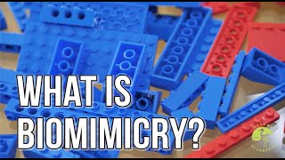 What is Biomimicry [upl. by Jonis560]