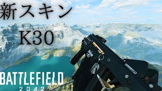 【BF2042】K30の近未来スキンの視認性がよくてぶっこわれな件 [upl. by Greggory985]