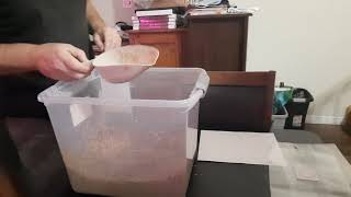 How I Make Shiitake Mushroom Substrate amp Put it Into Mushroom Bags [upl. by Yemiaj]