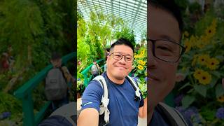 Impressions of Monet  Gardens By The Bay Singapore [upl. by Elbon]