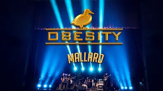 OBESITY  Mallard Official Video [upl. by Bacchus707]