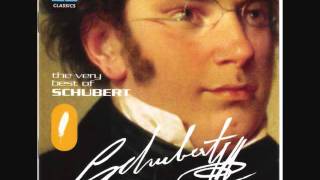 Franz Schubert  Ave Maria [upl. by Edahs90]