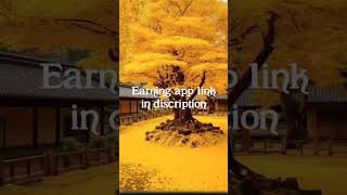 Real earning app link in discription shorts howtoearn nature new [upl. by Natlus]