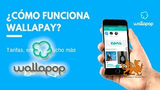 🎁WALLAPOP ¿ COMO FUNCIONA Wallapop WALLAPAY 🎆✨ WALLAPOP 9 [upl. by Isa]