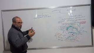 osteogenesis تكوين العظام [upl. by Nerrawed459]