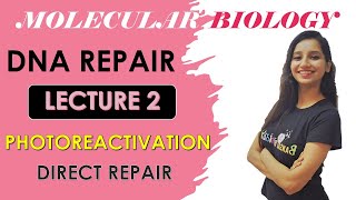 Photoreactivation Repair Direct RepairMolecular BiologyPhotolyaseDna Repair System Lecture 2 [upl. by Christen]