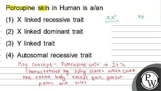 Porcupine skin in Human is aan 1 \ X \ linked recessive trait 2 \ X \ linked dominant t [upl. by Tsan]