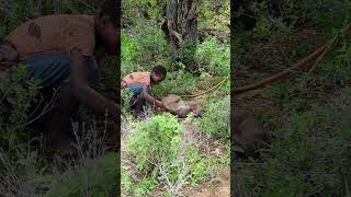 Baboon Hunt with the Hadza tribe [upl. by Geraud363]