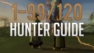 Runescape 3  199120 Hunter guide 20192020 [upl. by Alsworth]