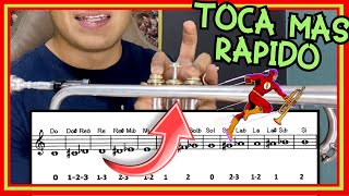 Notas y Posiciones 🎶 de la TROMPETA 🎺 Ejercicios Básicos y Fáciles 4 ✅ [upl. by Stoat527]