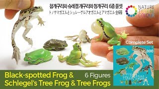 Blackspotted Frog amp Schlegels Tree Frog amp Tree Frogs  Kitan Club  ikimon [upl. by Fonseca]