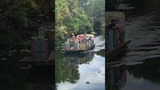 Animal Kingdom  River Musical Boat riverboats africa animalkingdom disney [upl. by Atteynek]