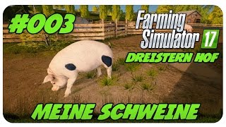 Meine SCHWEINE 003  Dreistern Hof Plus [upl. by Einaffets]