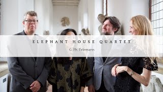 G Ph Telemann  Elephant House Quartet [upl. by Ajile379]