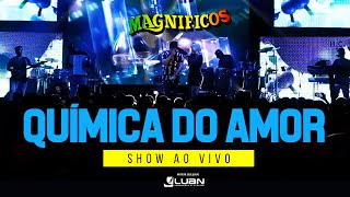 Banda Magnificos  SHOWS  Química do Amor Ao Vivo em Salvador [upl. by Ahsiuqel]