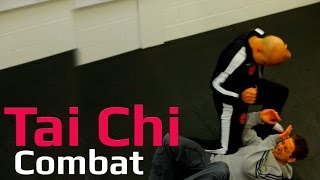 Tai chi combat tai chi chuan  tai chi attack rib cage Q46 [upl. by Nodnorb385]