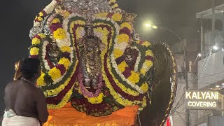 Thirumylai singara velar soora samharam ♥️♥️ [upl. by Kannav]