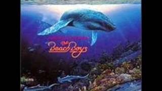 The Beach Boys  Lahaina Aloha  1992 [upl. by Erreipnaej52]