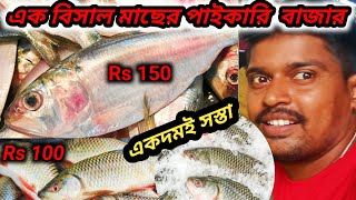 একবিসাল মাছের পাইকারি বাজার। fishmarket wholesalefishmarket [upl. by Yve]