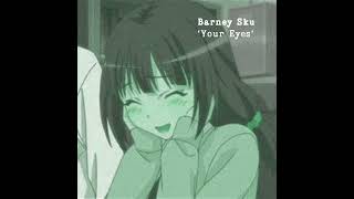 Barney Sku  Your Eyes English Version  Official Audio [upl. by Onavlis]