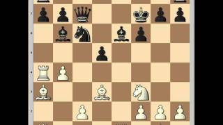 Carlsen vs Nikolic Wijk aan Zee 2005 [upl. by Ditter]