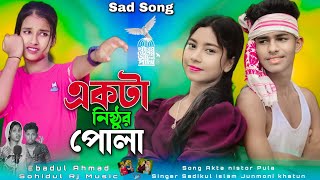 একটা নিষ্ঠুর পোলা Akta nistor Pula Singer Sadikul islam Junmoni khatun [upl. by Tisman]