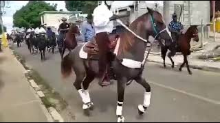 Monta de Caballos 🏇 República Dominicana 🇩🇴 PeralvilloAmante de los caballos [upl. by Levona929]