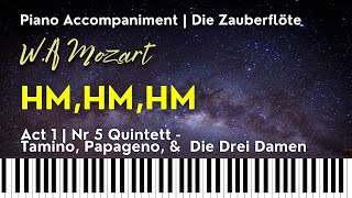 HM HM HM Mozart Nr 5 Quintett from DIE ZAUBERFLÖTE Piano accompaniment [upl. by Ellennoj]