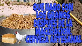 Que hago con los Granos después de Macerar  Cerveza Artesanal  La Birra Nostra [upl. by Etnuahs108]