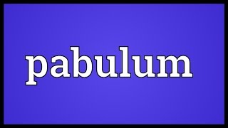 Pabulum Meaning [upl. by Anyd741]