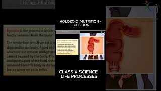 HOLOZOIC NUTRITION EGESTION viral biology [upl. by Barsky448]