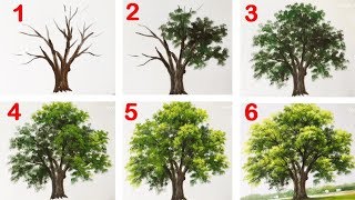 How to Paint a Tree with Acrylic lesson 13 [upl. by Maloney]